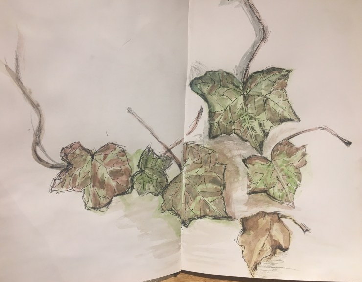 D038C6B2-831D-453A-8F5C-1CDA9196405D